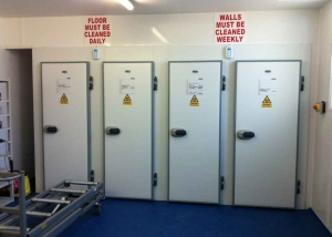 Body Chambers, Mortuary Refrigeration, Mortuary, Autopsy, Post Mortem