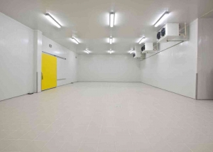largeScale Coldroom, Mortuary, Autopsy, Post Mortem Equipment WJ Kenyon